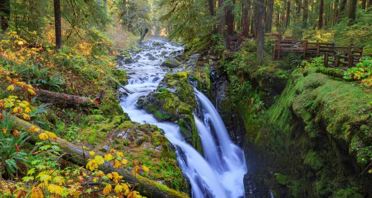Langzeitbelichtungsaufnahme der Sol Duc Falls, die durch üppigen moosbedeckten Wald hinabstürzen.