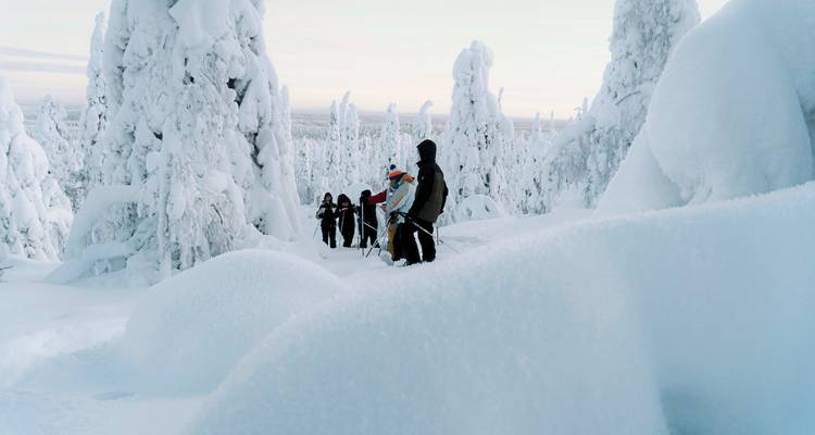 Un groupe de personnes faisant de la raquette parmi des arbres lourdement chargés de neige.
