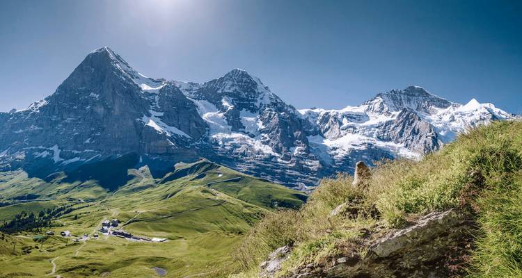Panoramic view of the snowy mountains and green valleys of Jungfrau.