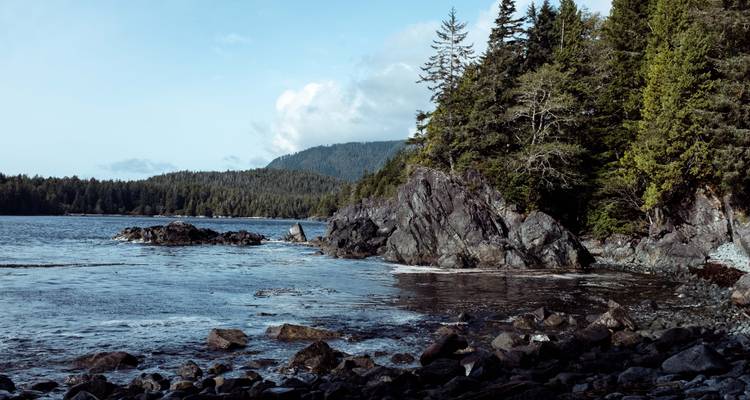 Côte rocheuse accidentée avec des arbres et l'océan.