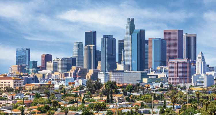 Crisp skyline of downtown Los Angeles with mountains and palm-lined neighborhoods in foreground.