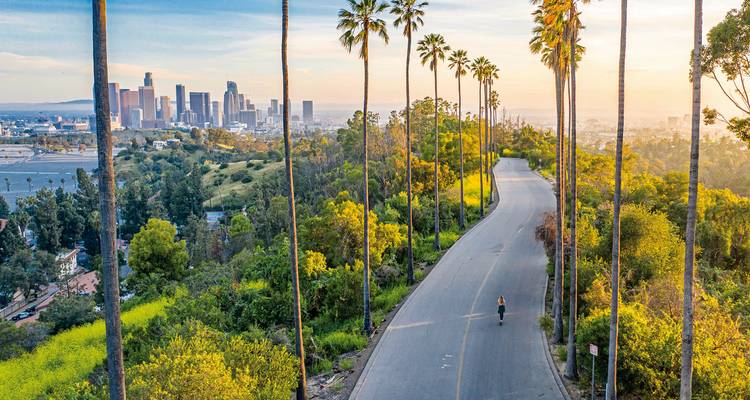 Scenic palm-lined road leading toward downtown Los Angeles skyline at golden hour with lone runner.