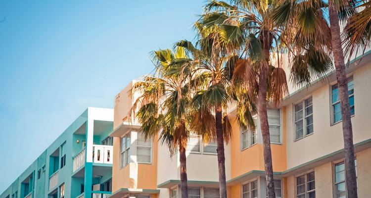 Apartamentos frente al mar estilo Art Deco llenos de color, rodeados de altas palmeras bajo el despejado cielo azul de Miami.
