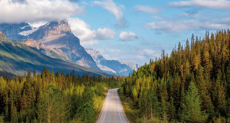 Een lange rechte snelweg door een dicht bos met bergen op de achtergrond.