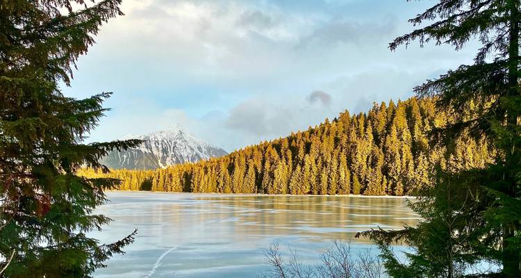 Lac bordé de forêts au feuillage doré et scintillant.