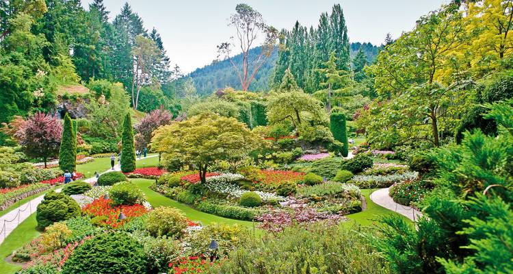 Beautifully landscaped gardens with colorful flowers and tall trees in Victoria.