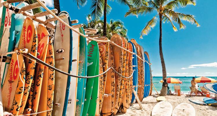 Surfboards lined up on a tropical beach with blue skies.