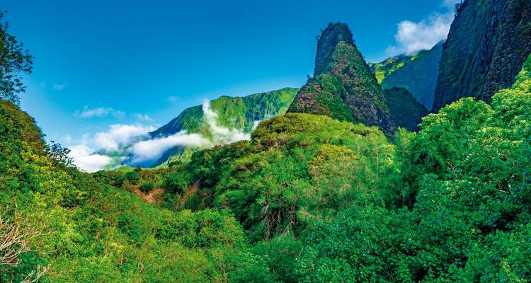 Lush, green mountainous landscape under a clear blue sky.