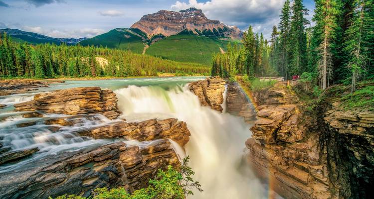 Majestueuze waterval te midden van een weelderig bos met een regenboog.