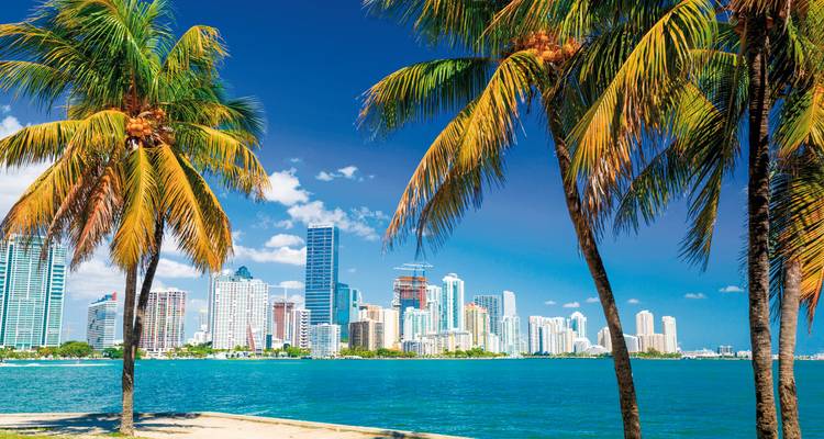 Des palmiers tropicaux encadrant la skyline moderne de Miami sur la baie turquoise de Biscayne lors d'une journée ensoleillée.