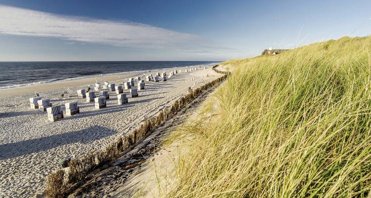 Sandstrand mit Strandstühlen und Blick auf das Meer.