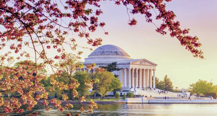 Ein neoklassisches Gebäude an einem See mit Kirschblütenbäumen.