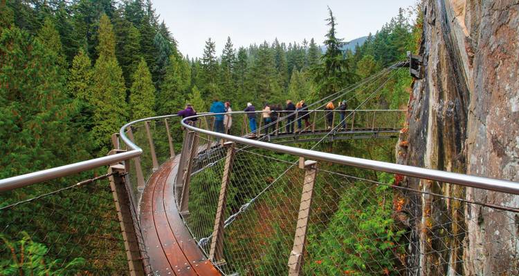 A treetop walk with people enjoying the view.