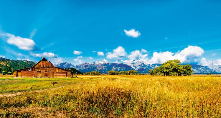 Une grange en bois dans un champ doré avec des montagnes au loin.