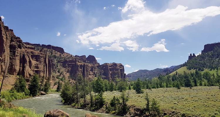 Rivière coulant à travers un paysage avec des falaises rocheuses et des arbres.