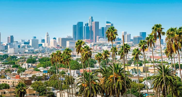 Las palmeras se alzan frente al horizonte de la ciudad de Los Ángeles bajo un cielo azul brillante.