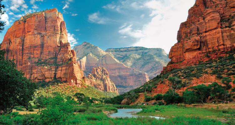 Vue panoramique de canyons de roche rouge et de verdure luxuriante.