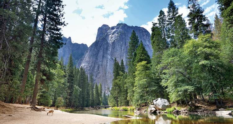 Yosemite-vallei met weelderige begroeiing en granieten kliffen.