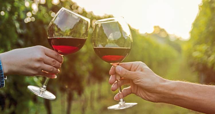 Deux personnes qui trinquent avec des verres de vin rouge dans un vignoble.