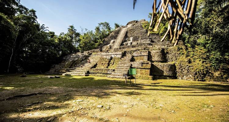 Mayatempel eingebettet in einer Dschungelumgebung mit Bäumen und Pflanzen.