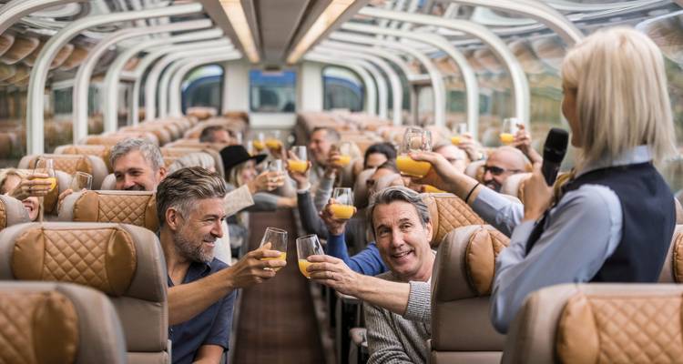 Groep mensen die proosten in een trein.