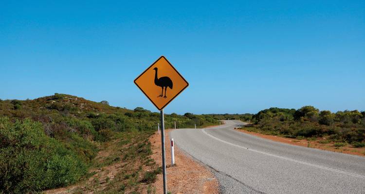 Straßenrand mit einem Warnschild, das einen Emu zeigt.