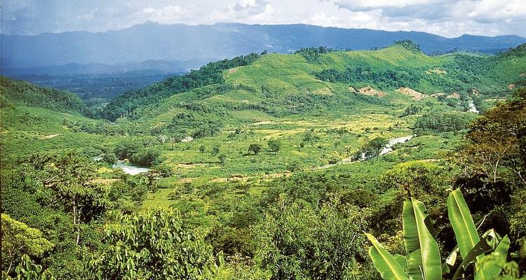 Üppige grüne Landschaft mit Bergen und Flussblick.