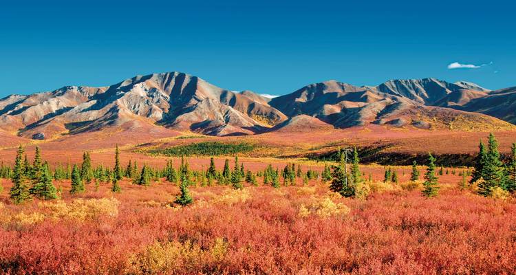 Vaste paysage sauvage avec feuillage d'automne coloré et chaînes de montagnes.