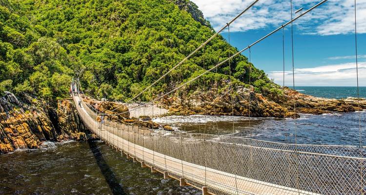 Hängebrücke über dem Ozean mit üppiger Klippe.