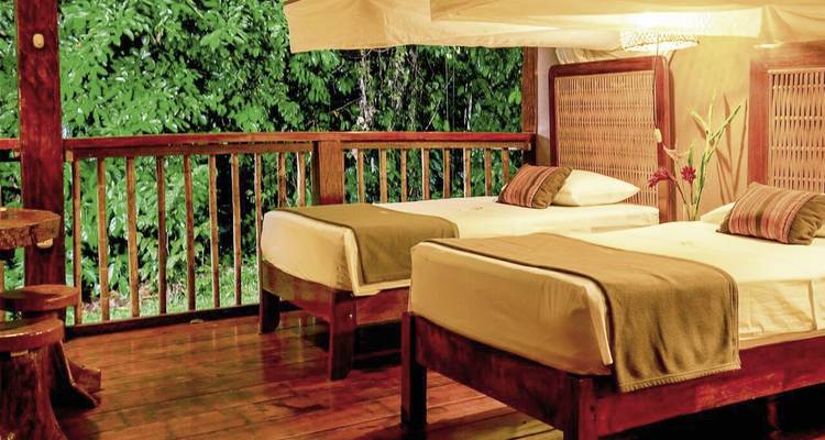 Two twin beds in a cozy room with green forest view.