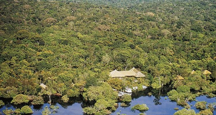 Aerial view of the lush Amazon rainforest with a few structures near water.