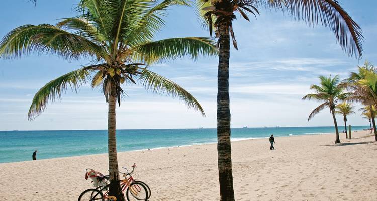 Sandy beach with palm trees and bicycles parked in the sand.