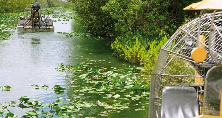 Airboats navigating through a waterway lined with greenery.