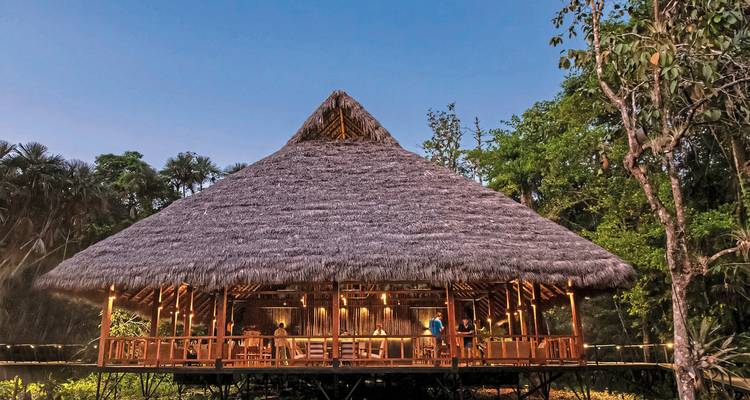 Un pavillon au toit de chaume avec des gens à l'intérieur, sur fond de forêt.