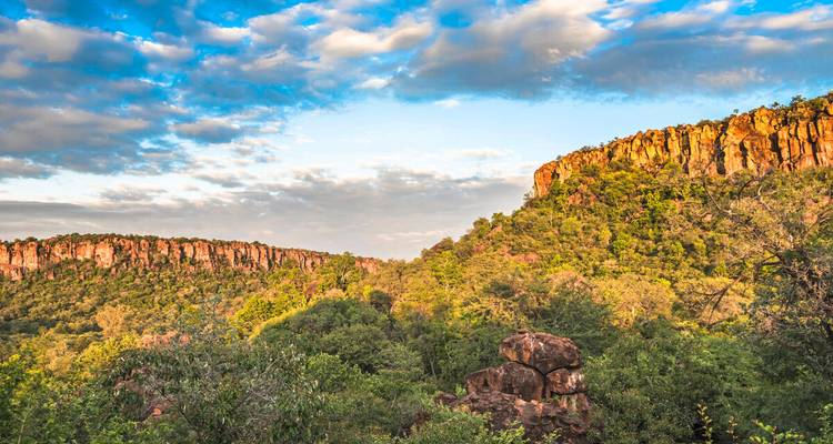Goldene Klippen und dichter grüner Wald werden unter weichen Nachmittagswolken im Waterberg Plateau Park in Szene gesetzt.