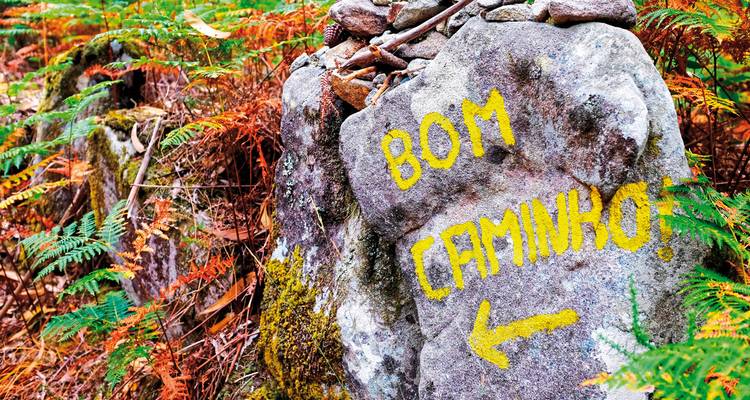 Felsen mit den gelb aufgemalten Worten „Bom Caminho".