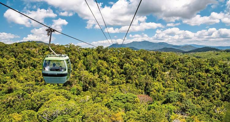 Seilbahn fährt über dichten Wald, Berge im Hintergrund.