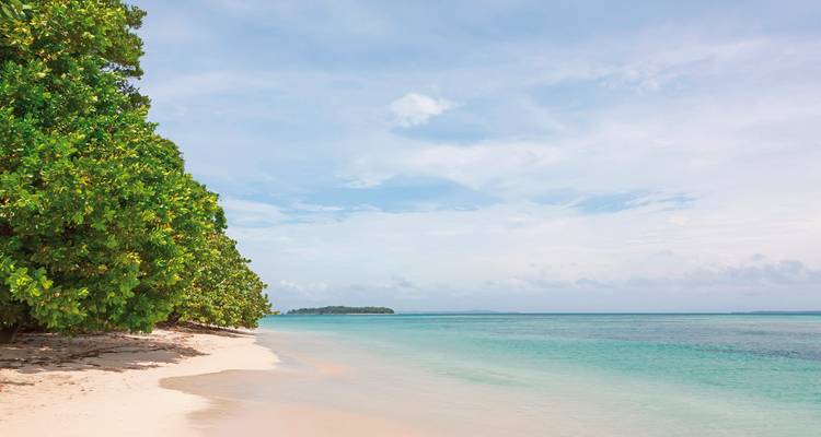 Tropical beach with clear water and lush greenery.