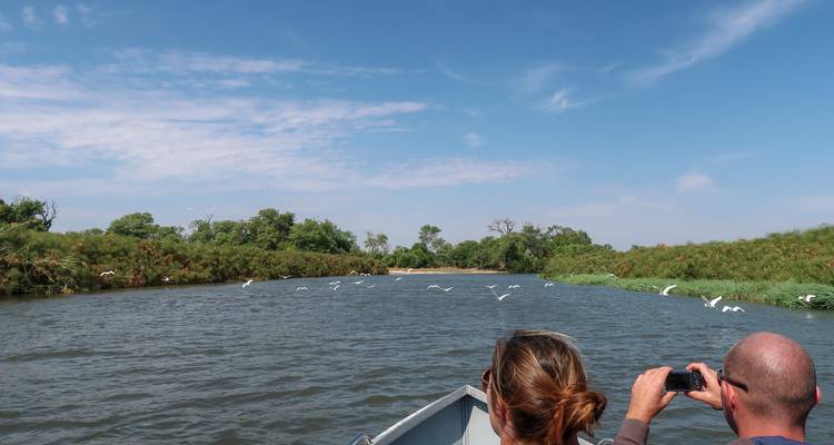 Des touristes sur un bateau explorant une rivière avec des oiseaux qui volent au-dessus.