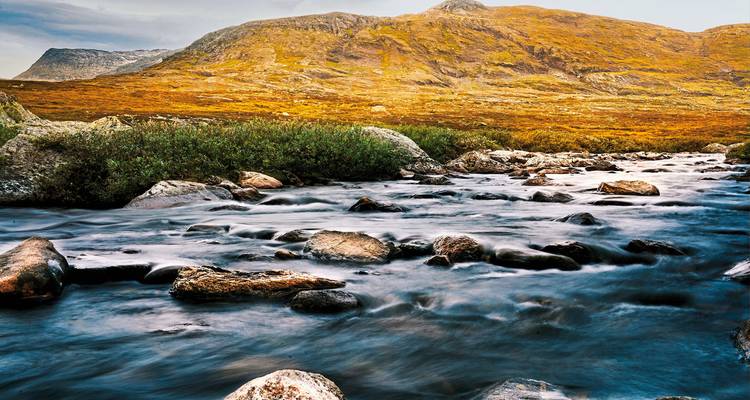 Fließender Fluss umgeben von Bergen und Feldern.