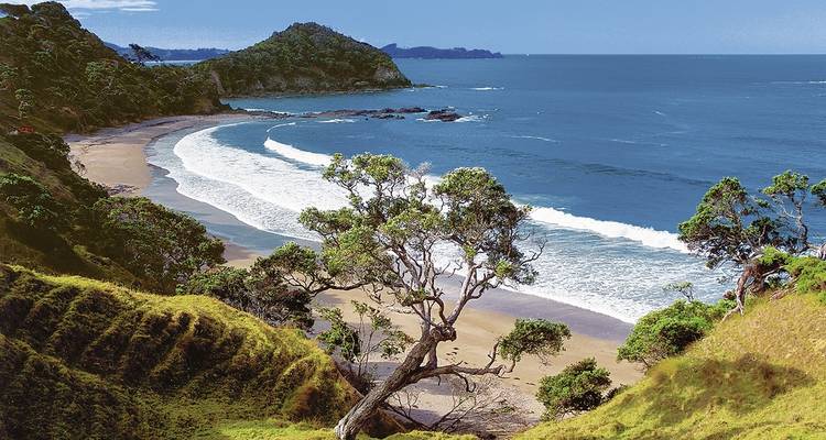 A scenic beach with cliffs and trees overlooking the ocean.