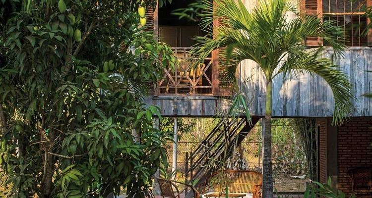 Traditional wooden building with tropical vegetation