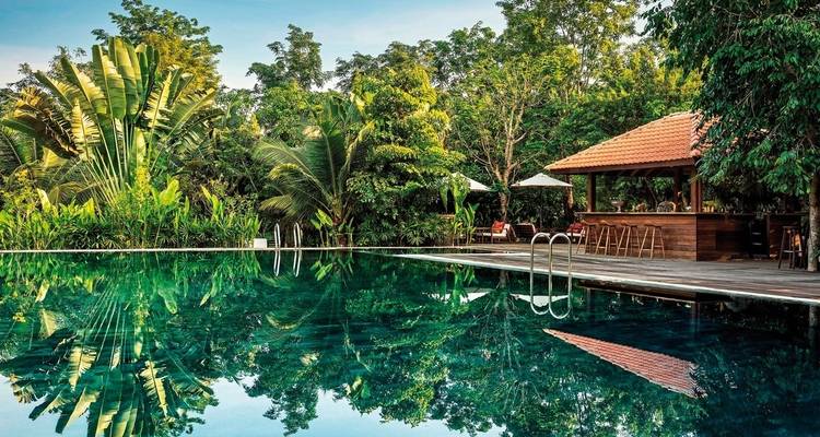 Luxurious pool with a bar and lush foliage around it.
