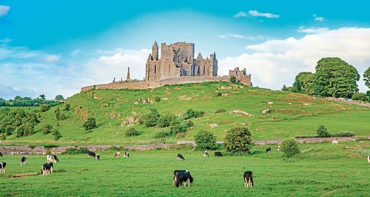 Ancient castle on a grassy hilltop with cows grazing below.
