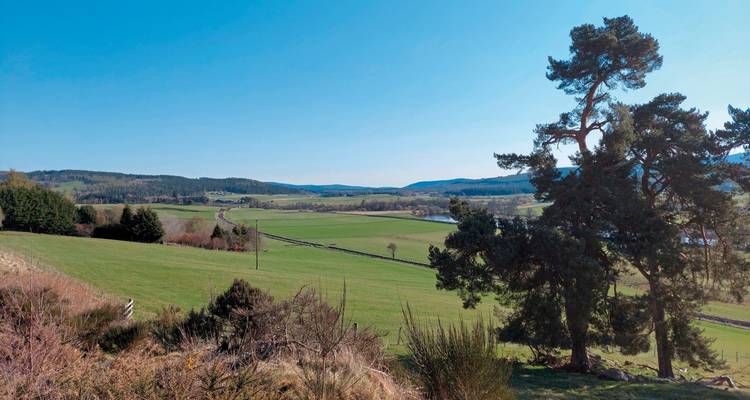 Una vista amplia del paisaje con campos y un árbol.