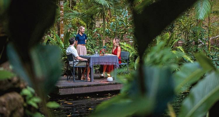 Dining area in a tropical forest with people seated at a table surrounded by lush green plants.