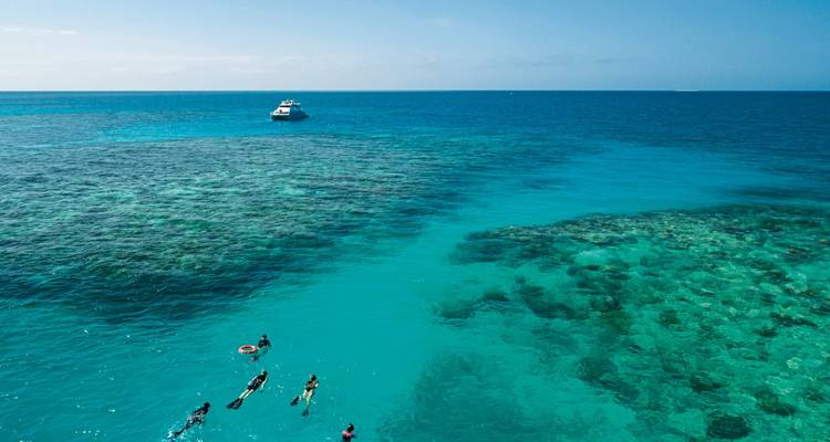 People snorkeling in clear turquoise waters near coral reefs with a boat in the distance.