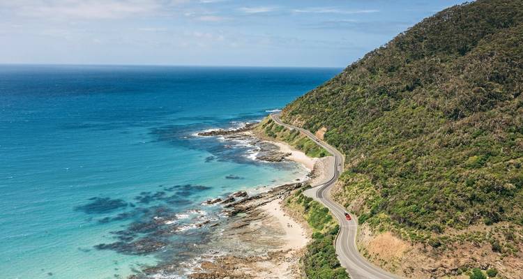 Route côtière le long de l'océan avec une végétation luxuriante