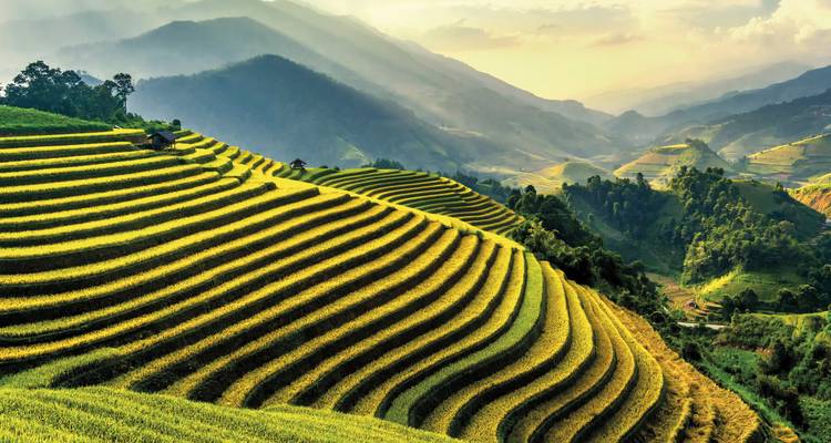 Terrasvormige rijstvelden in een bergachtige streek met dramatische belichting.
