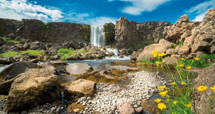 Kleiner Wasserfall inmitten felsigen Geländes mit leuchtenden Blumen.